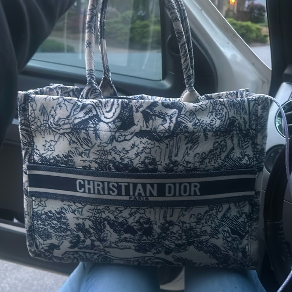 Christian Dior Medium Book Tote and matching print travel makeup bag